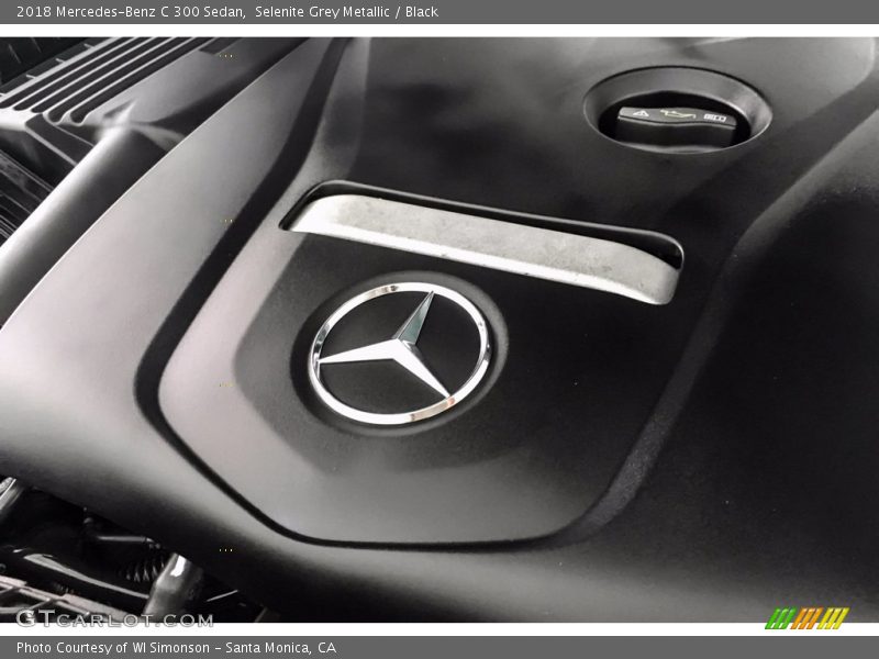 Selenite Grey Metallic / Black 2018 Mercedes-Benz C 300 Sedan