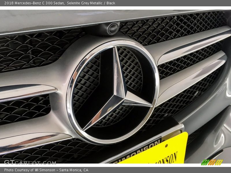 Selenite Grey Metallic / Black 2018 Mercedes-Benz C 300 Sedan
