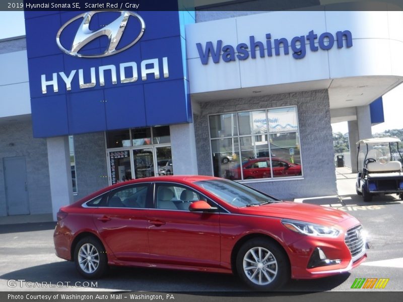 Scarlet Red / Gray 2019 Hyundai Sonata SE