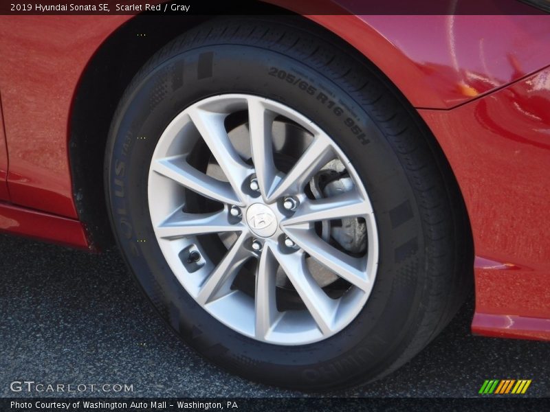 Scarlet Red / Gray 2019 Hyundai Sonata SE
