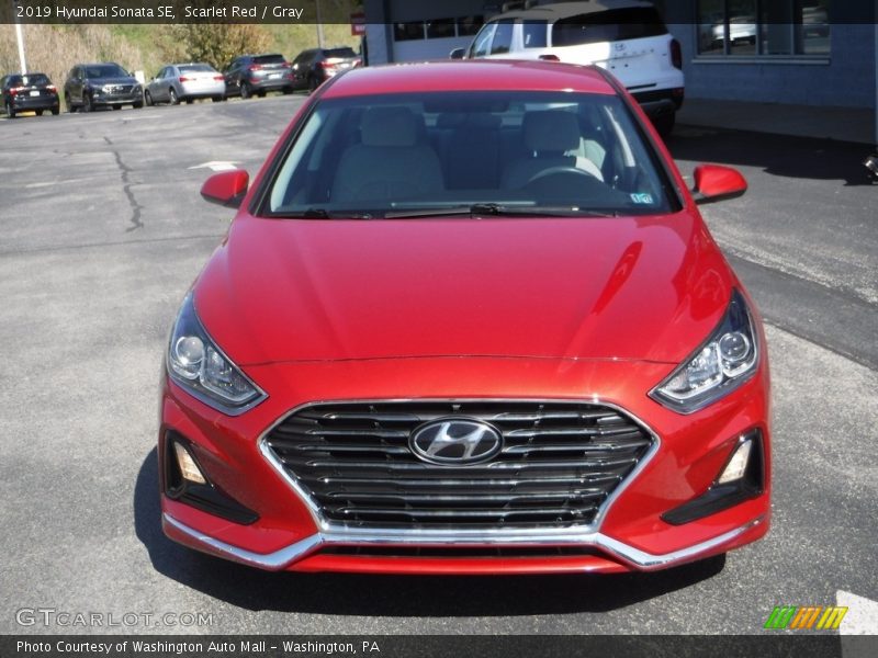 Scarlet Red / Gray 2019 Hyundai Sonata SE