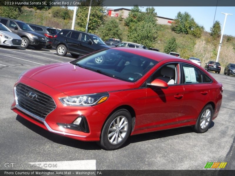 Scarlet Red / Gray 2019 Hyundai Sonata SE