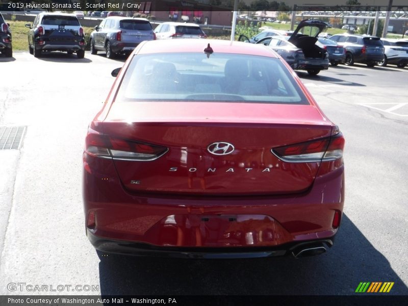 Scarlet Red / Gray 2019 Hyundai Sonata SE