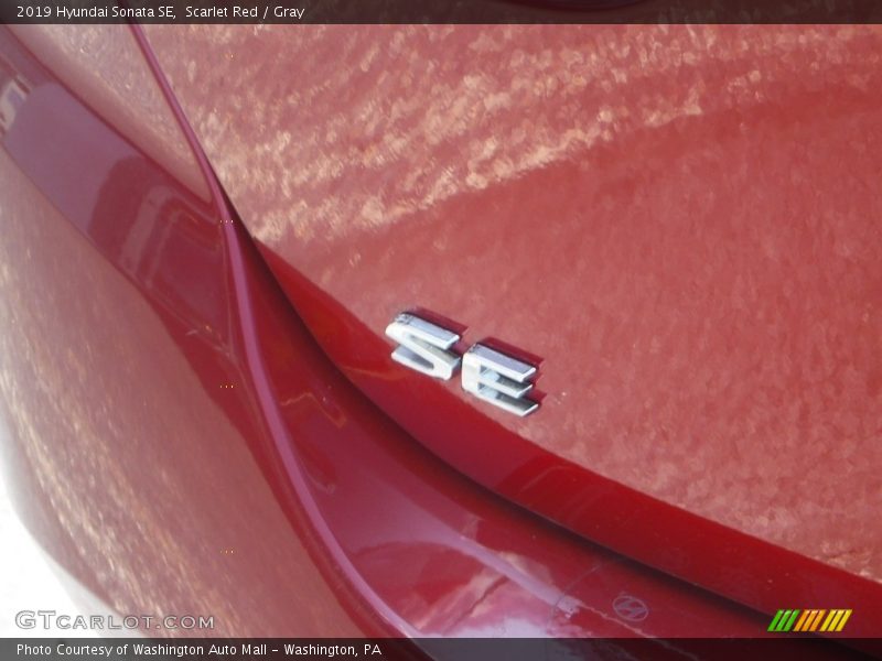 Scarlet Red / Gray 2019 Hyundai Sonata SE