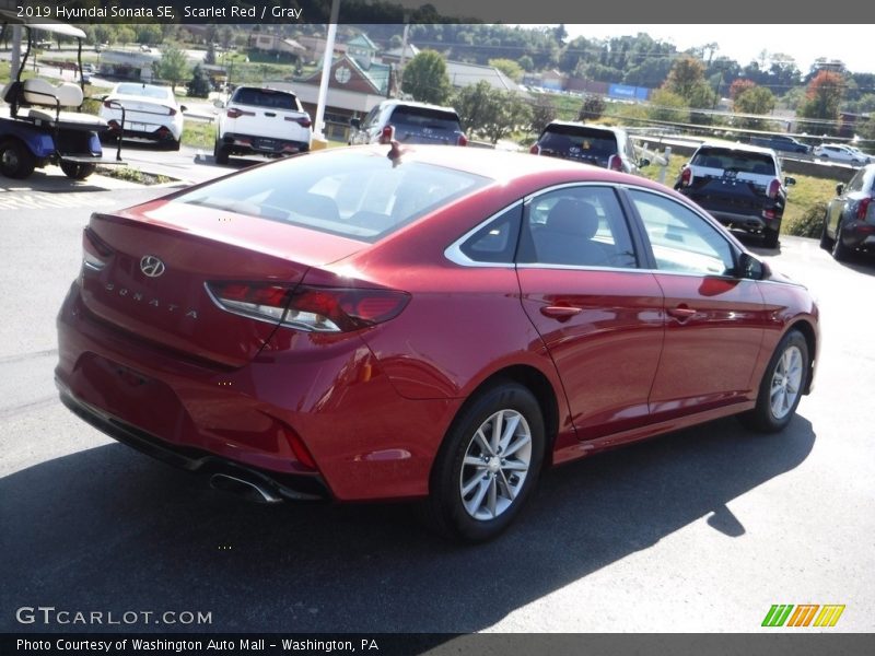 Scarlet Red / Gray 2019 Hyundai Sonata SE