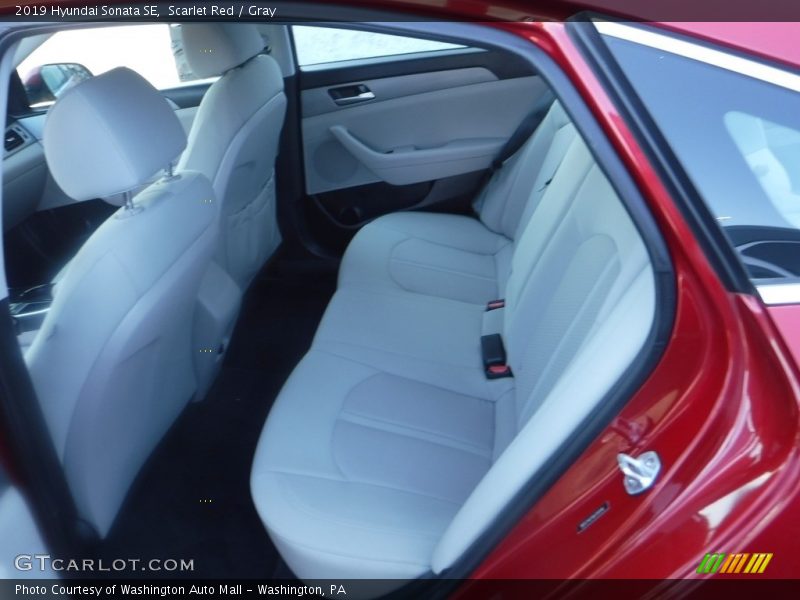 Scarlet Red / Gray 2019 Hyundai Sonata SE