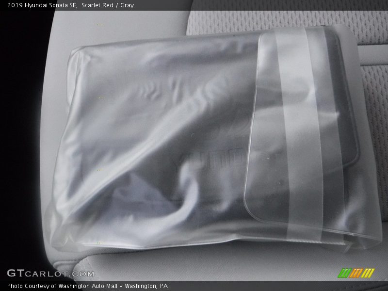 Scarlet Red / Gray 2019 Hyundai Sonata SE