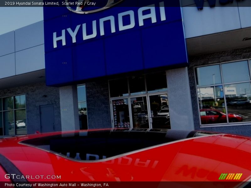 Scarlet Red / Gray 2019 Hyundai Sonata Limited