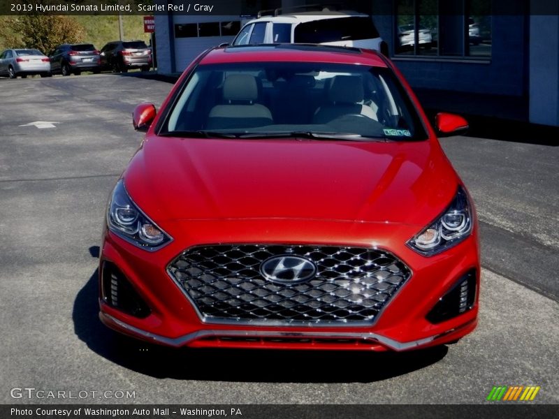 Scarlet Red / Gray 2019 Hyundai Sonata Limited