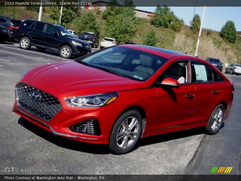 Scarlet Red / Gray 2019 Hyundai Sonata Limited