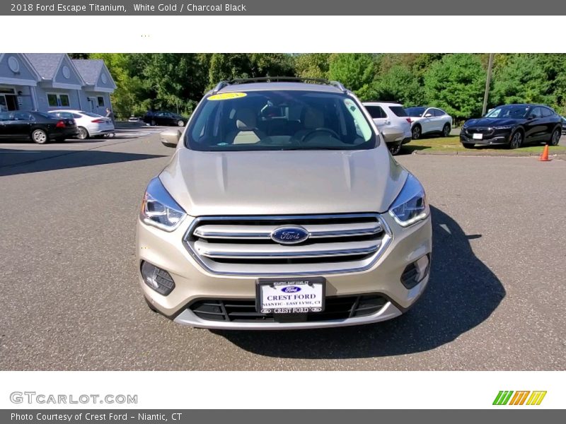 White Gold / Charcoal Black 2018 Ford Escape Titanium