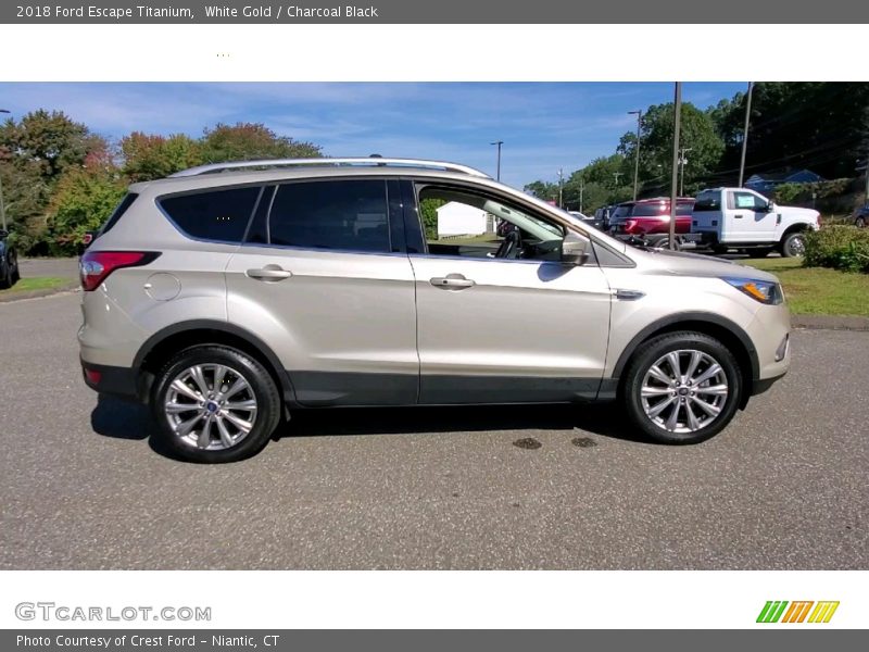 White Gold / Charcoal Black 2018 Ford Escape Titanium