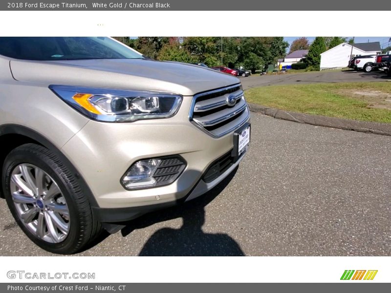 White Gold / Charcoal Black 2018 Ford Escape Titanium