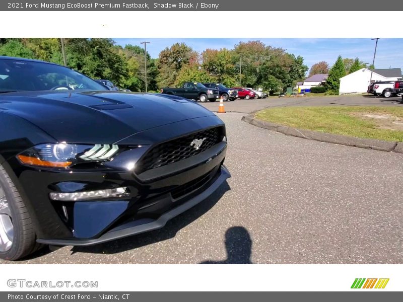 Shadow Black / Ebony 2021 Ford Mustang EcoBoost Premium Fastback