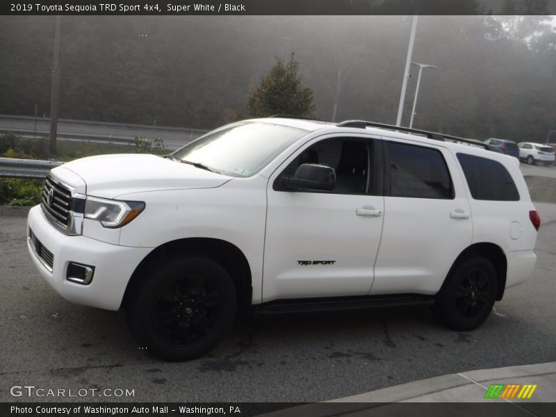 Super White / Black 2019 Toyota Sequoia TRD Sport 4x4