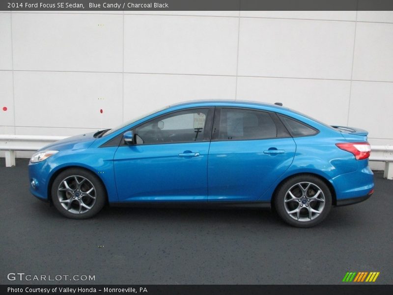 Blue Candy / Charcoal Black 2014 Ford Focus SE Sedan