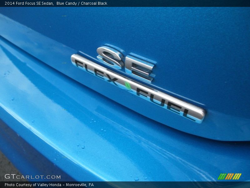 Blue Candy / Charcoal Black 2014 Ford Focus SE Sedan