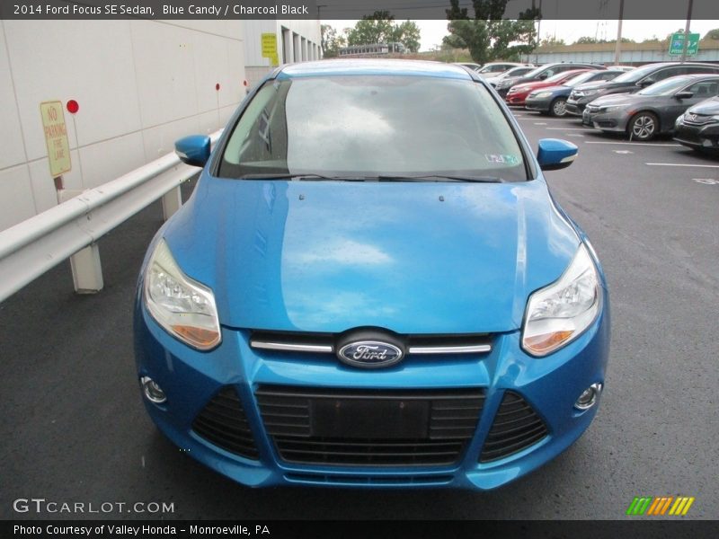 Blue Candy / Charcoal Black 2014 Ford Focus SE Sedan