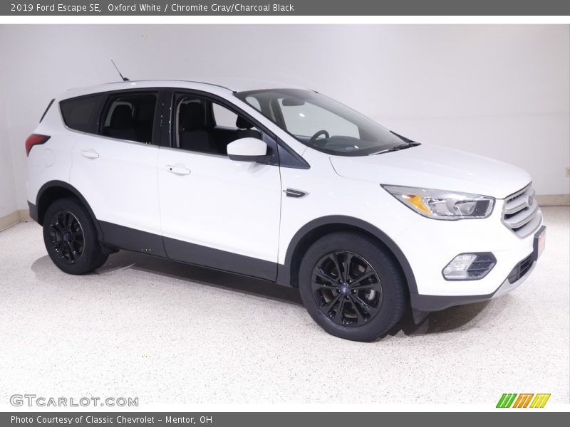 Oxford White / Chromite Gray/Charcoal Black 2019 Ford Escape SE