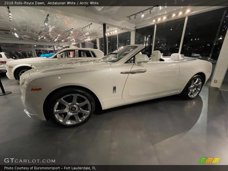  2018 Dawn  Andalusian White