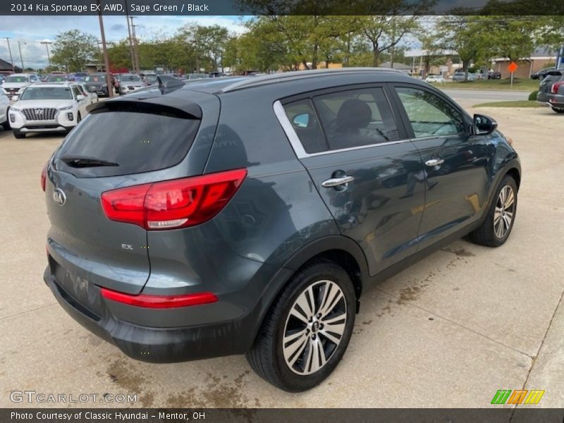 Sage Green / Black 2014 Kia Sportage EX AWD