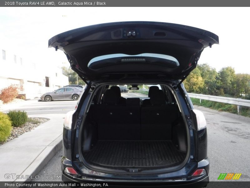 Galactic Aqua Mica / Black 2018 Toyota RAV4 LE AWD