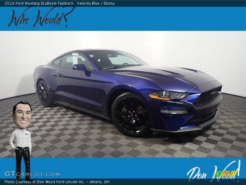 Velocity Blue / Ebony 2019 Ford Mustang EcoBoost Fastback