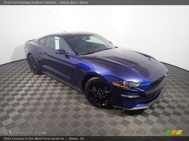 Velocity Blue / Ebony 2019 Ford Mustang EcoBoost Fastback
