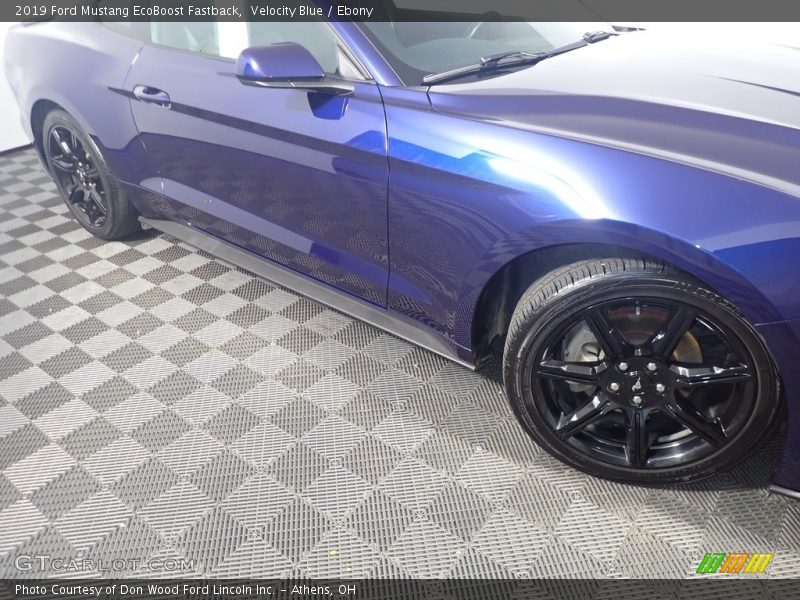 Velocity Blue / Ebony 2019 Ford Mustang EcoBoost Fastback