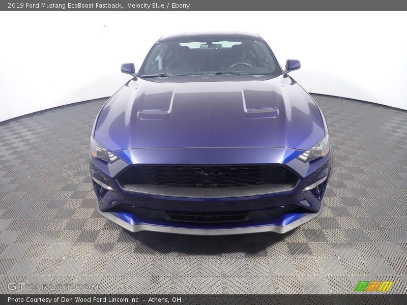 Velocity Blue / Ebony 2019 Ford Mustang EcoBoost Fastback