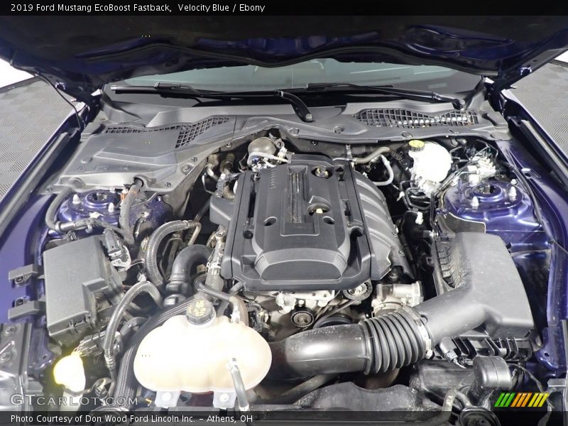 Velocity Blue / Ebony 2019 Ford Mustang EcoBoost Fastback