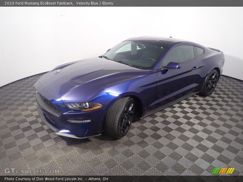 Velocity Blue / Ebony 2019 Ford Mustang EcoBoost Fastback