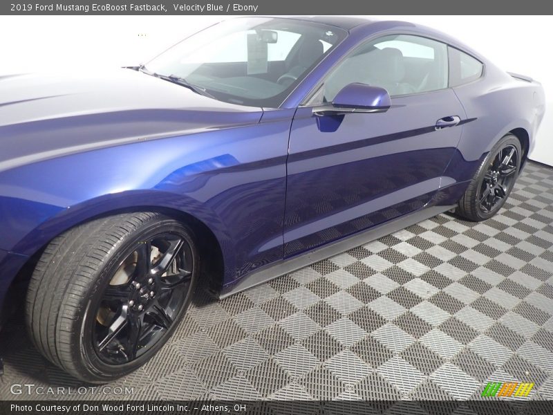 Velocity Blue / Ebony 2019 Ford Mustang EcoBoost Fastback