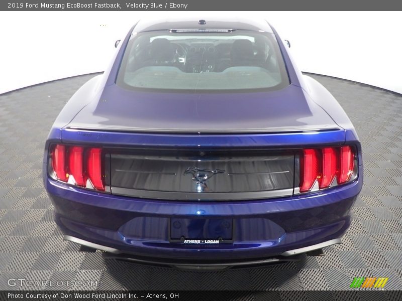 Velocity Blue / Ebony 2019 Ford Mustang EcoBoost Fastback