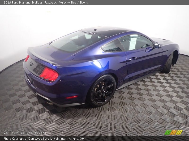 Velocity Blue / Ebony 2019 Ford Mustang EcoBoost Fastback