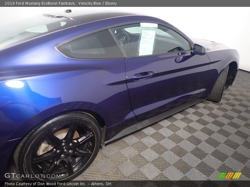 Velocity Blue / Ebony 2019 Ford Mustang EcoBoost Fastback