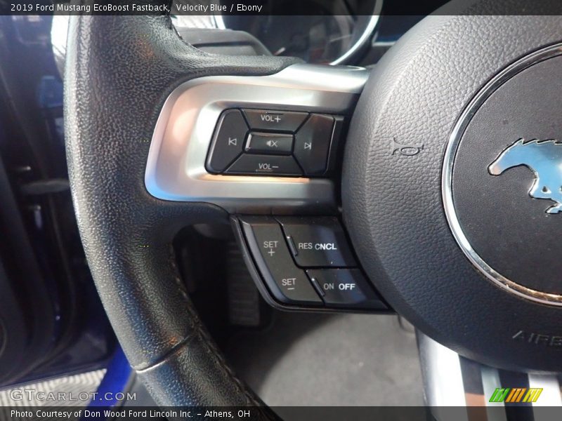 Velocity Blue / Ebony 2019 Ford Mustang EcoBoost Fastback