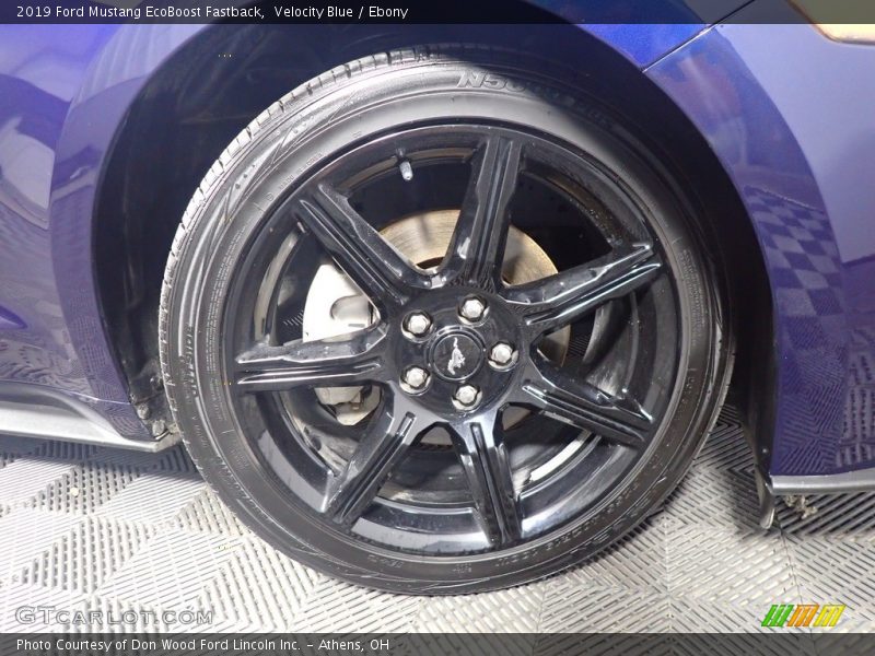Velocity Blue / Ebony 2019 Ford Mustang EcoBoost Fastback