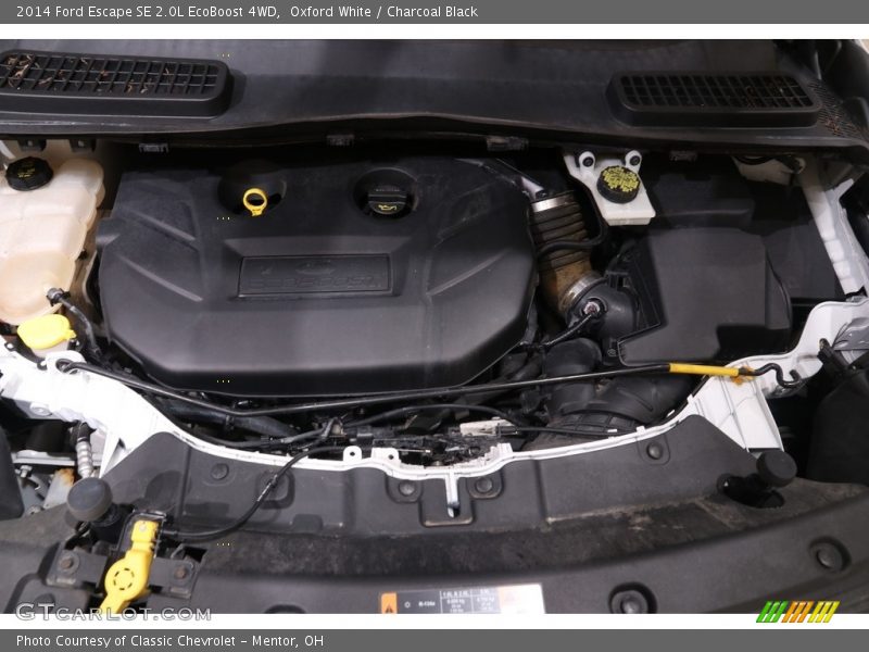 Oxford White / Charcoal Black 2014 Ford Escape SE 2.0L EcoBoost 4WD