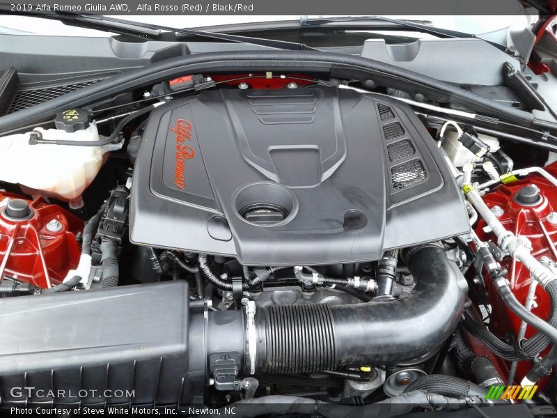 Alfa Rosso (Red) / Black/Red 2019 Alfa Romeo Giulia AWD