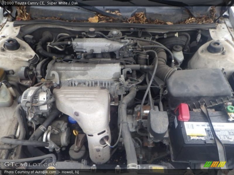 Super White / Oak 2000 Toyota Camry CE