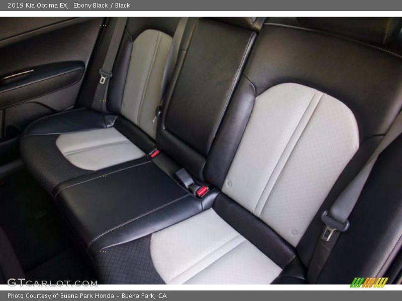 Ebony Black / Black 2019 Kia Optima EX