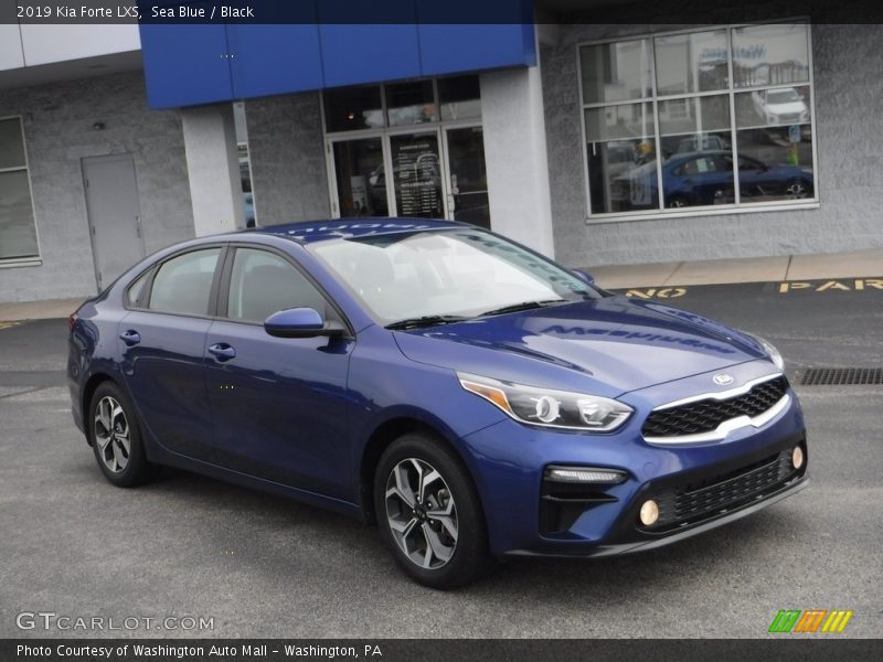Sea Blue / Black 2019 Kia Forte LXS