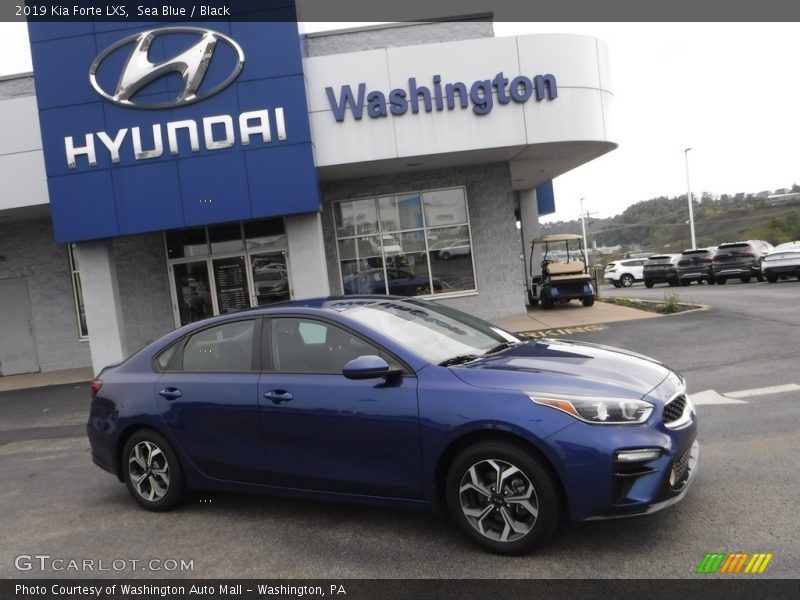 Sea Blue / Black 2019 Kia Forte LXS