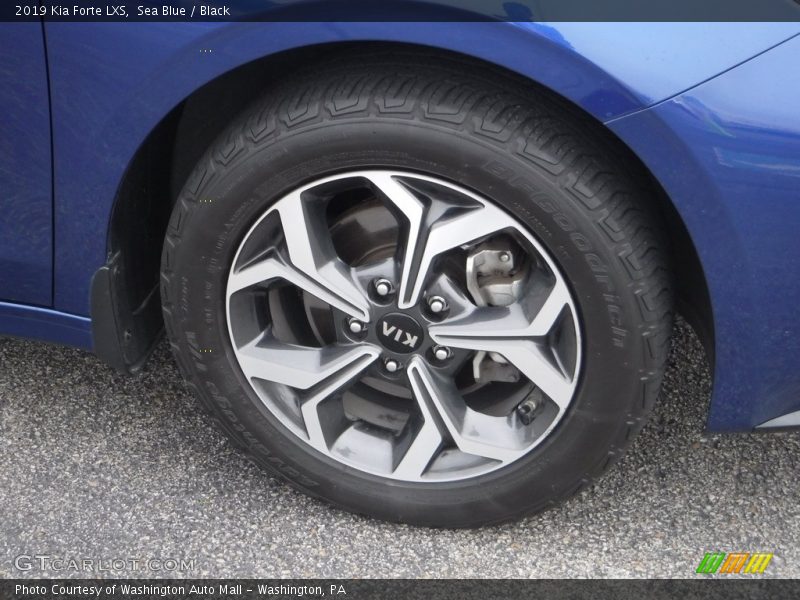 Sea Blue / Black 2019 Kia Forte LXS