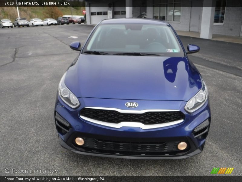 Sea Blue / Black 2019 Kia Forte LXS