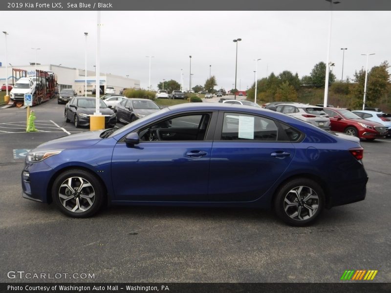 Sea Blue / Black 2019 Kia Forte LXS