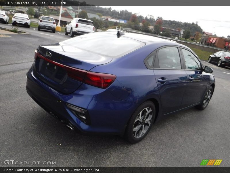 Sea Blue / Black 2019 Kia Forte LXS