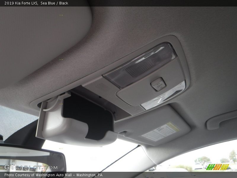 Sea Blue / Black 2019 Kia Forte LXS