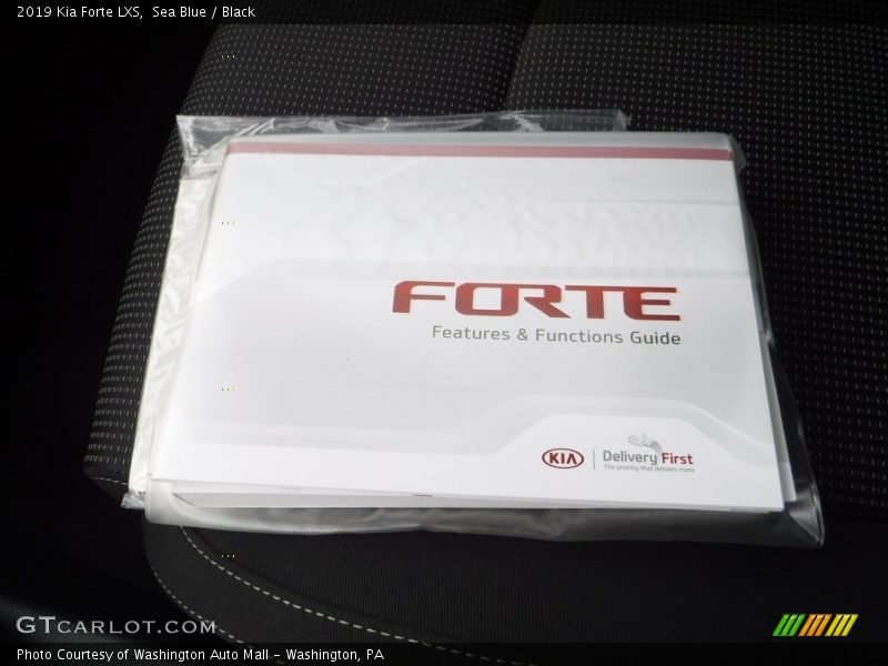 Sea Blue / Black 2019 Kia Forte LXS